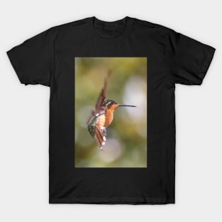 Hummingbird Acrobatics T-Shirt